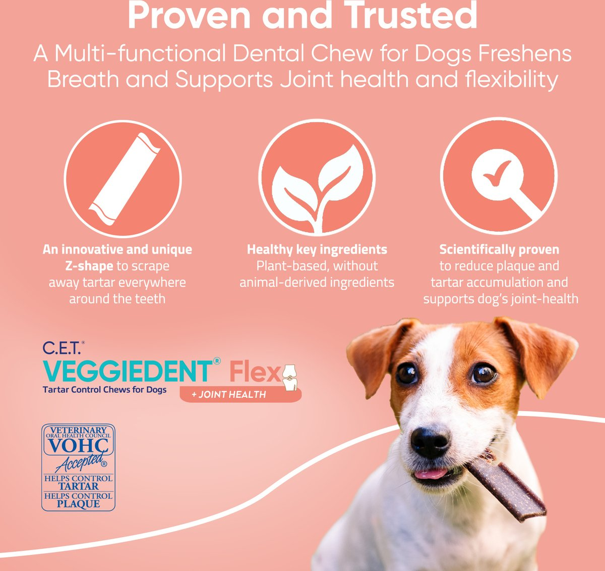 C.E.T. VeggieDent Flex + Joint Health for Medium Dogs 22-66 lbs