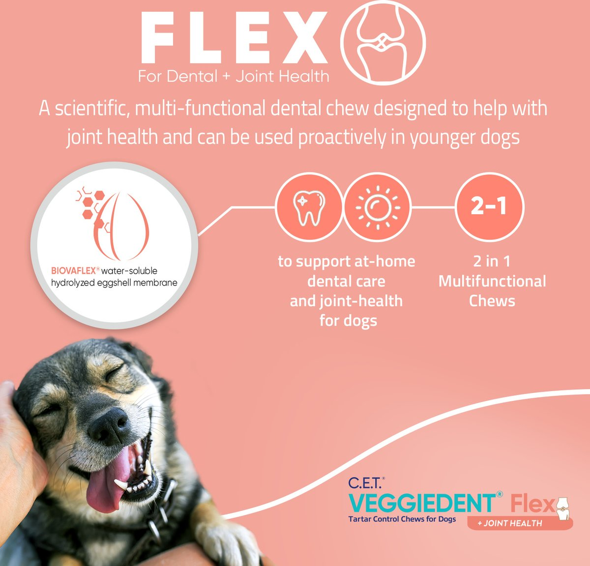 C.E.T. VeggieDent Flex + Joint Health for Medium Dogs 22-66 lbs