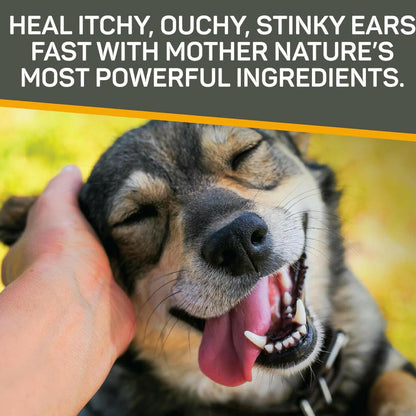 Absorbine Silver Honey Rapid Vet Strength Ear Care Treatment for Dogs and Cats