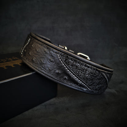The "Korona" collar BLACK EDITION
