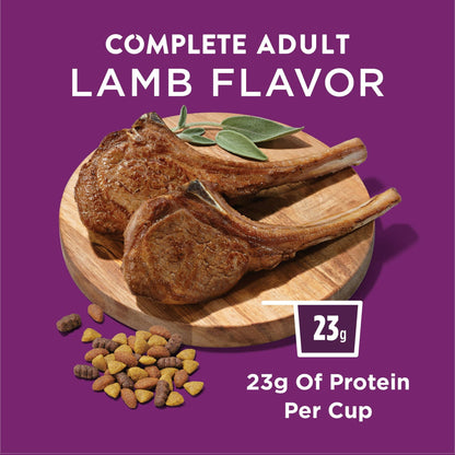 Purina Dog Chow High Protein Real Lamb Flavor Dry Dog Food 44 lb Bag