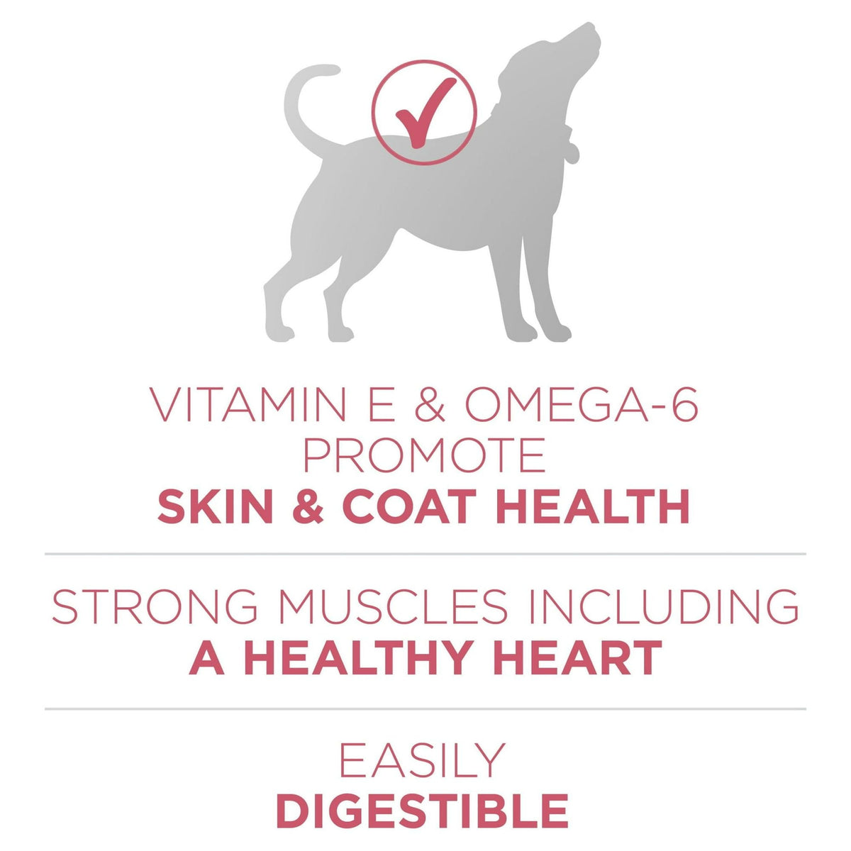 Purina One +Plus Dry Dog Food Skin and Coat Formula 31.1 lb Bag