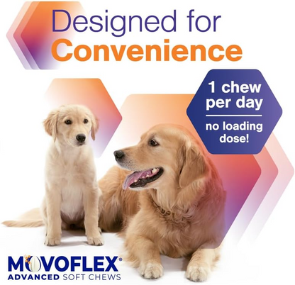 MovoFlex ADVANCED Joint Support for Large Dogs (60 soft chews)
