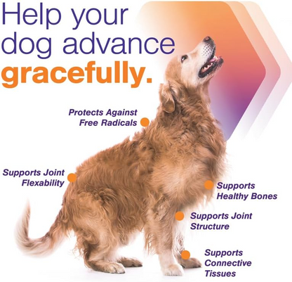 MovoFlex ADVANCED Joint Support for Large Dogs (60 soft chews)