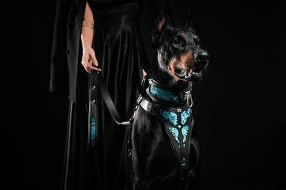 The ''Morelia Python'' leash
