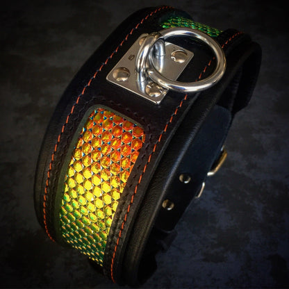 The ''D`Albertis'' collar