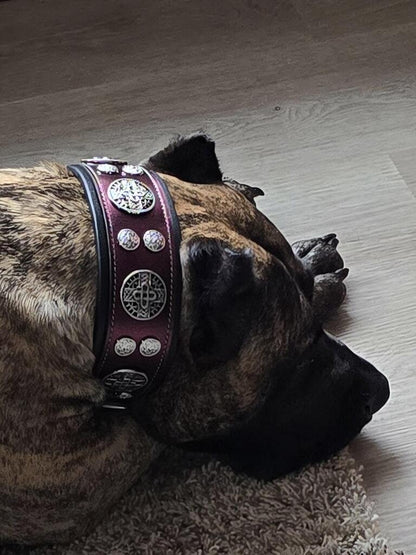 The "Hektor" Burgundy Collar LIMITED