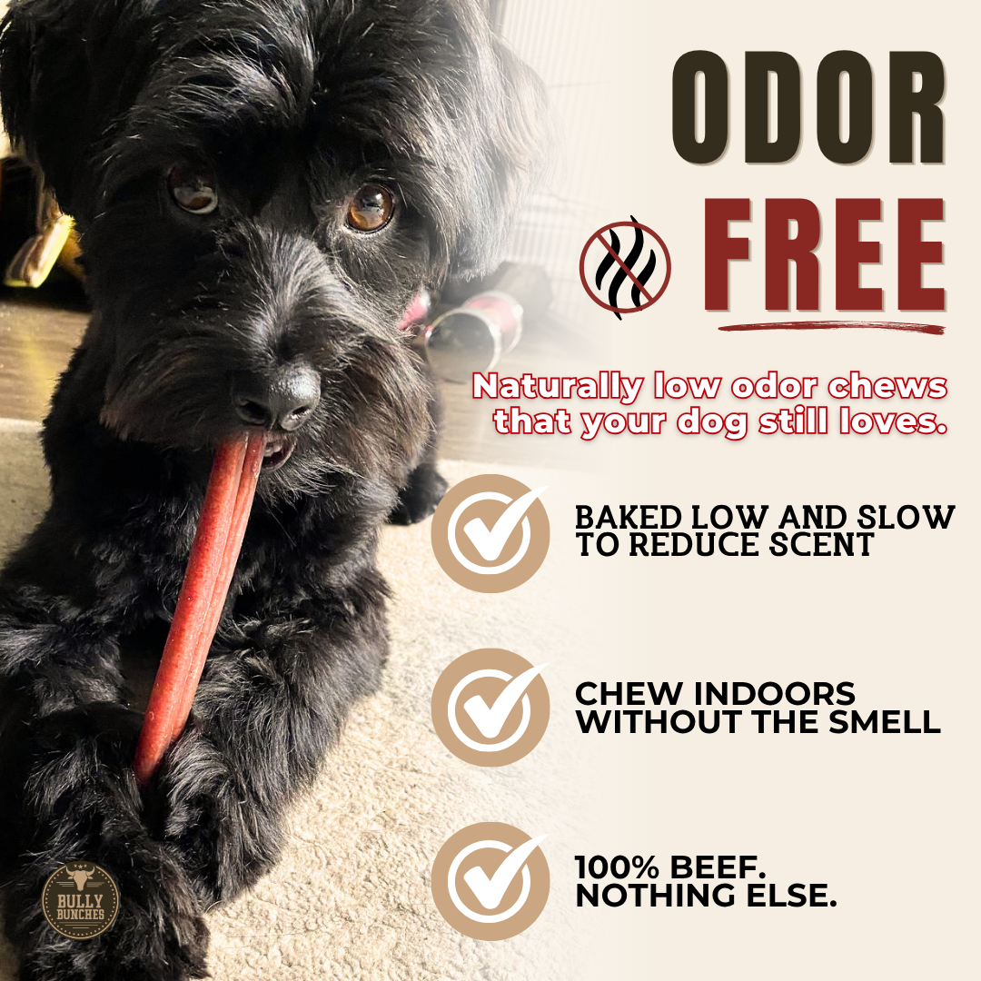 6 Inch Standard Bully Stick