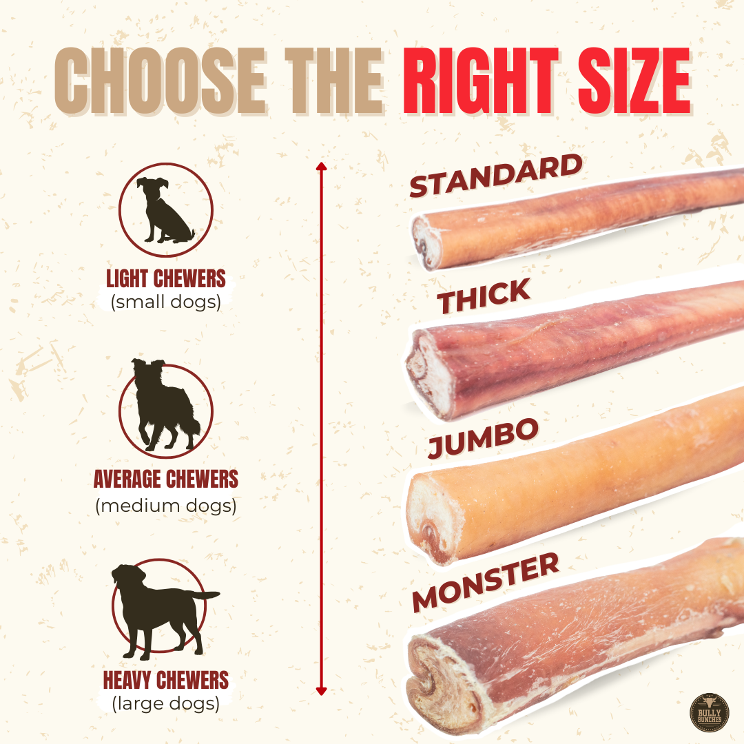 6 Inch Standard Bully Stick
