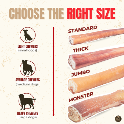 12 Inch Monster Bully Stick