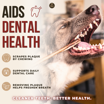 12 Inch Jumbo Bully Stick