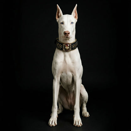 Irondog Collar