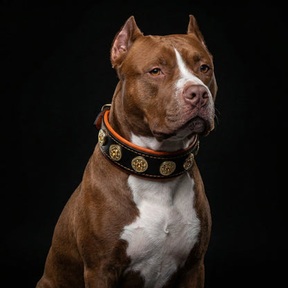 The "Bijou" collar orange