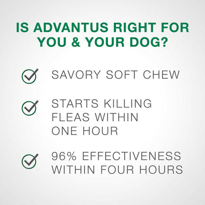 Advantus Flea Oral Treatment (23-110 lbs)