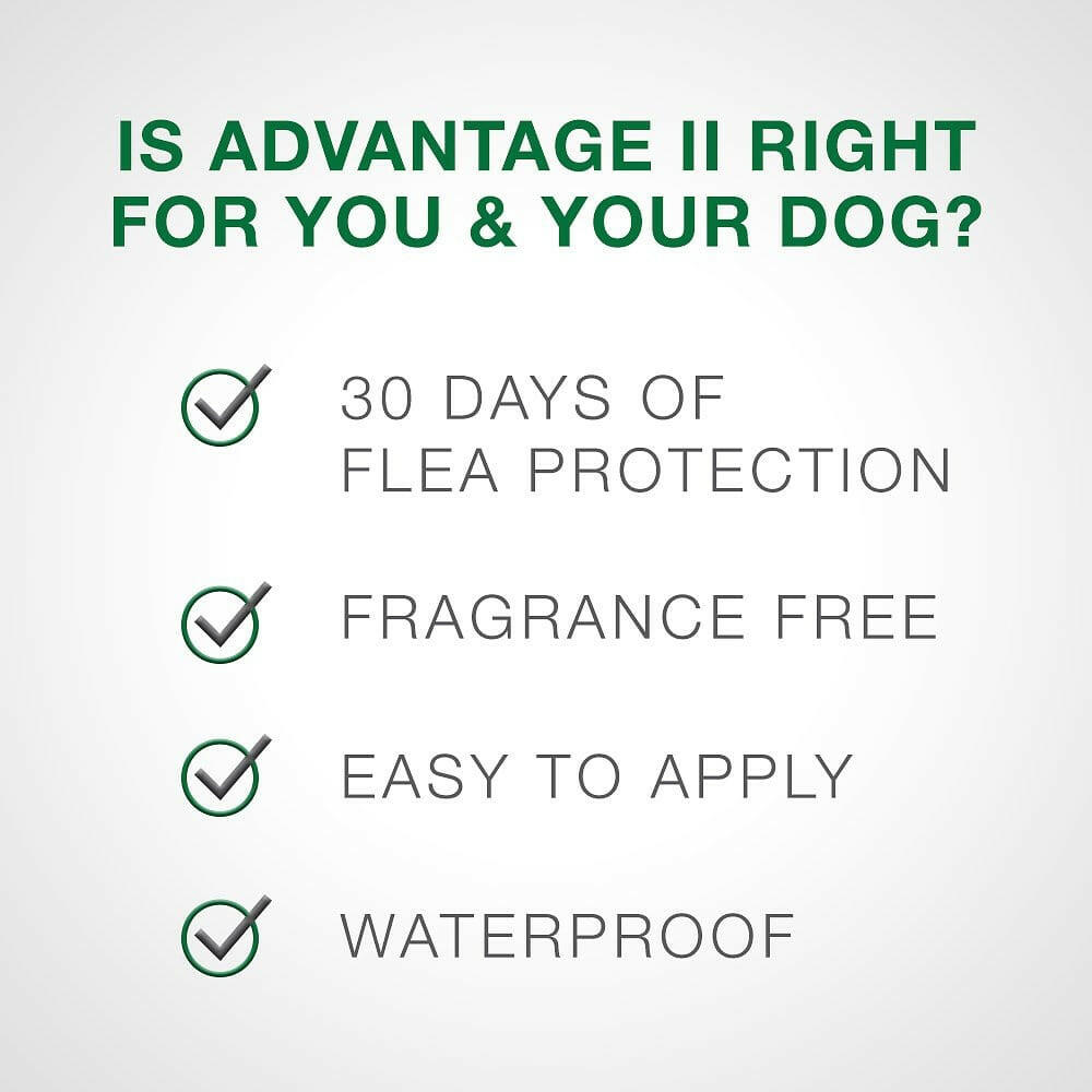 Advantage II Flea Control for Extra Large Dogs (Over 55 lbs) Blue Box