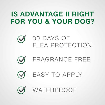 Advantage II Flea Control for Extra Large Dogs (Over 55 lbs) Blue Box