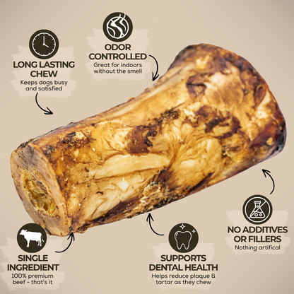 5-6 Inch Marrow Bone