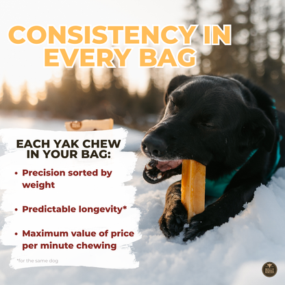 Himalayan Yak Chew Flavor Pack
