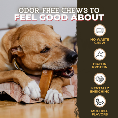 Himalayan Yak Chew (MEDIUM)
